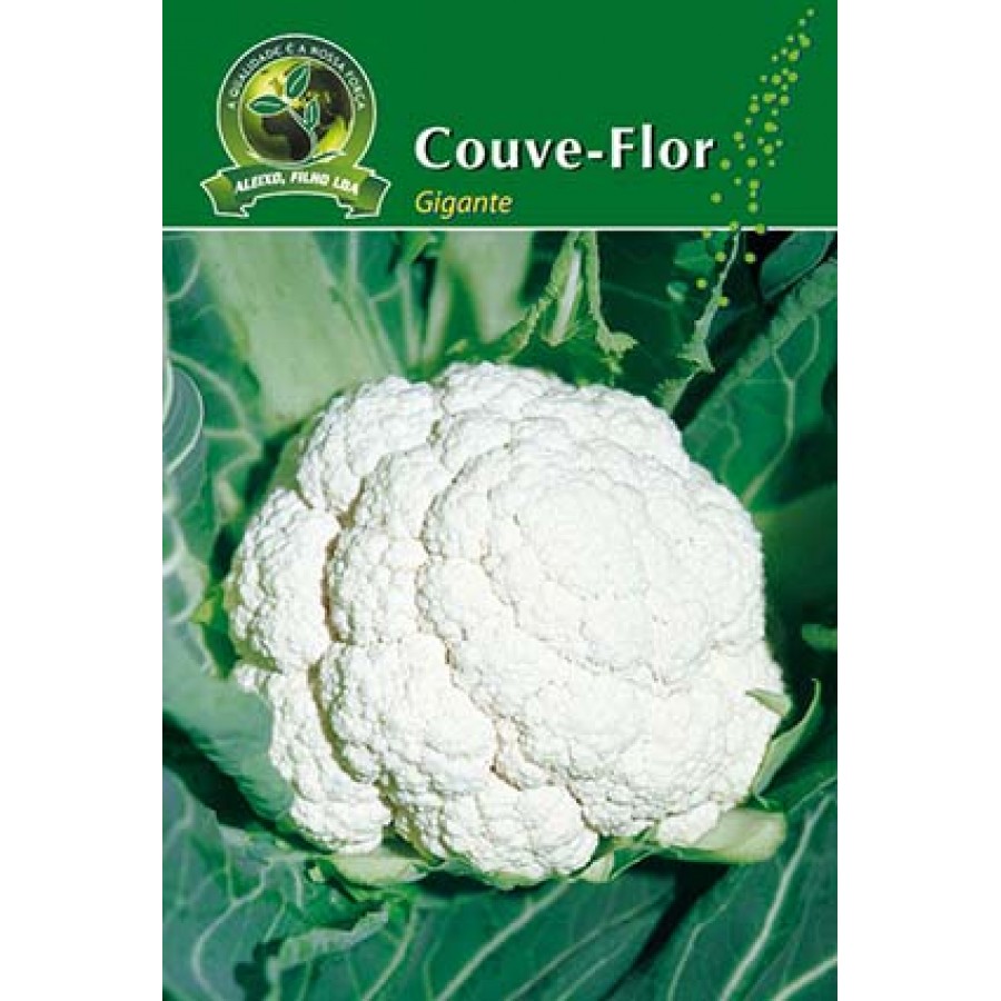 S.COUVE FLOR GIGANTE ALEIXO- CARTEIRA S.COUVE FLOR GIGANTE ALEIXO- CARTEIRA
