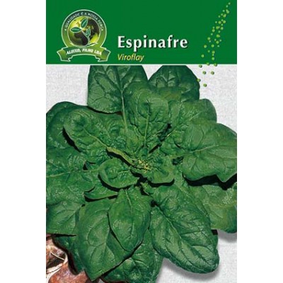 S.ESPINAFRE ALEIXO VIROFLAY-CARTEIRA