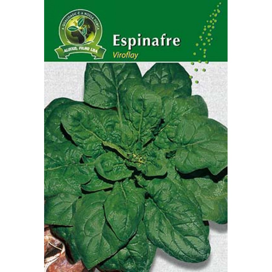 S.ESPINAFRE ALEIXO VIROFLAY-CARTEIRA