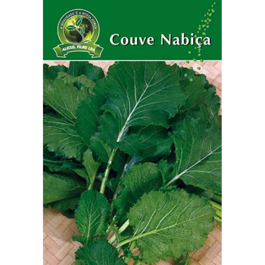 S.COUVE NABIÇA ALEIXO-CARTEIRA S.COUVE NABIÇA ALEIXO-CARTEIRA