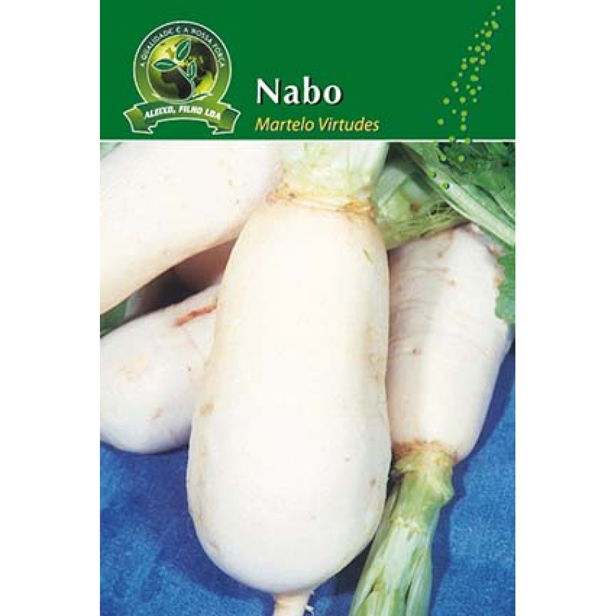 S.NABO ALEIXO MARTELO VIRTUDE-CARTEIRA S.NABO ALEIXO MARTELO VIRTUDE-CARTEIRA