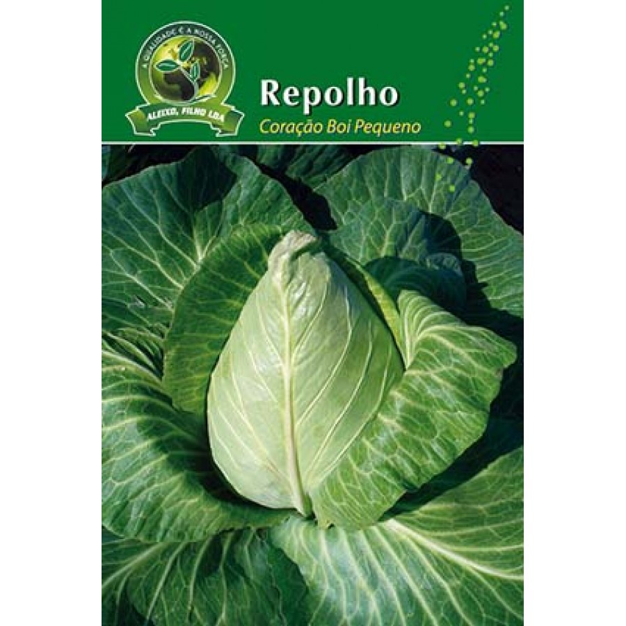 S.REPOLHO ALEIXO CORAÇAO DE BOI PEQUENO-CARTEIRA S.REPOLHO ALEIXO CORAÇAO DE BOI PEQUENO-CARTEIRA