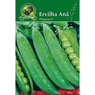 S.ERVILHA GRAO RAST.ALEIXO PROGRESSO 9 - CARTEIRA
