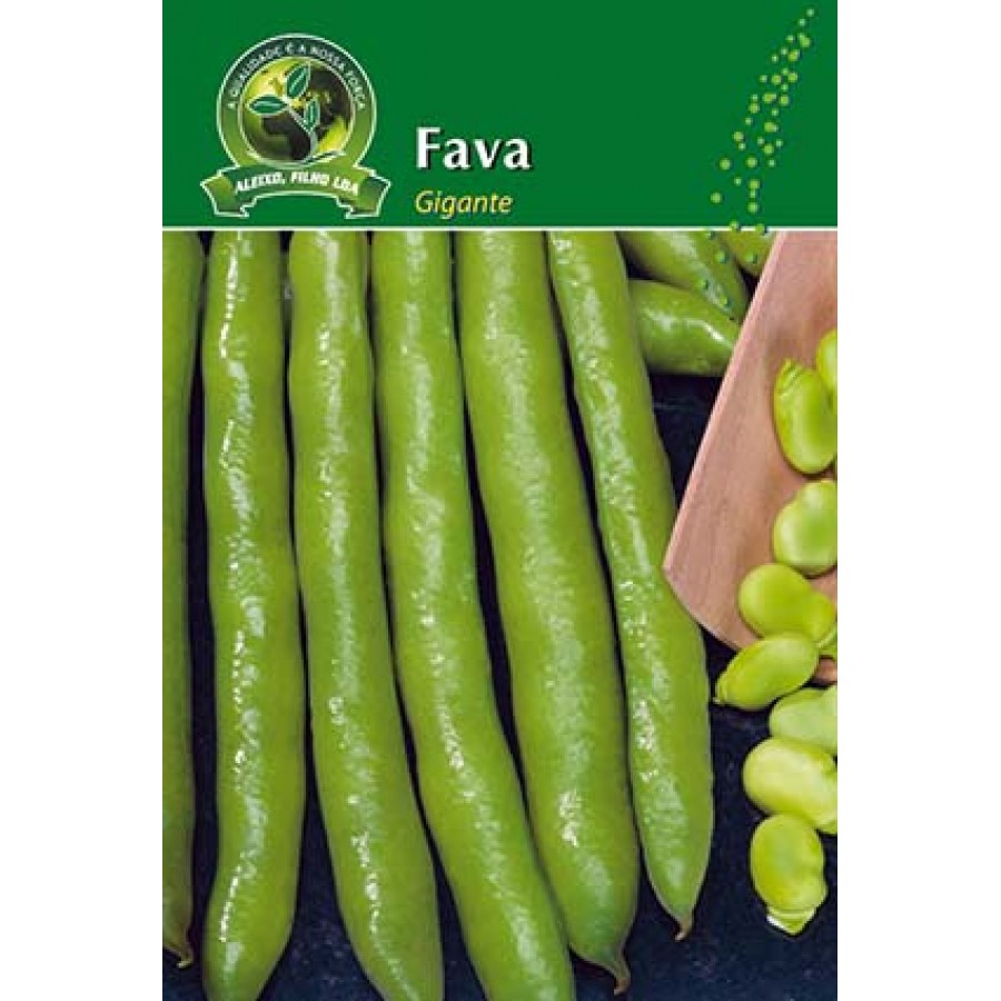 S.FAVA ALEIXO GIGANTE-CARTEIRA