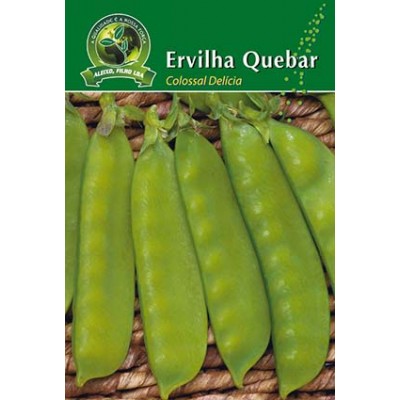 S.ERVILHA QUEBRAR ALEIXO COLOSSAL DELICIA  - CARTEIRA