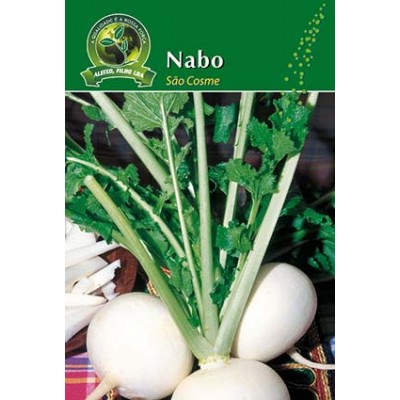 S.NABO ALEIXO SAO COSME-CARTEIRA