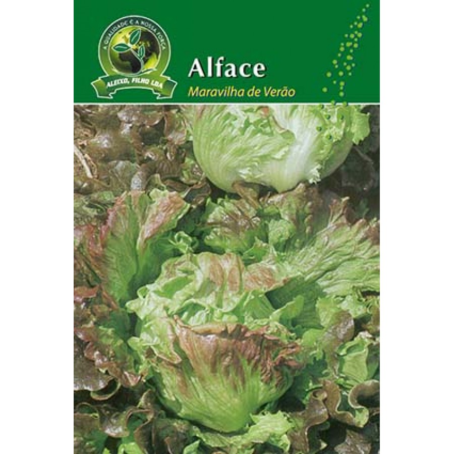 S.ALFACE ALEIXO MARAVILHA VERAO-CARTEIRA S.ALFACE ALEIXO MARAVILHA VERAO-CARTEIRA