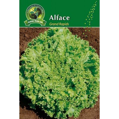 S.ALFACE ALEIXO GRAND RAPIDS- CARTEIRA