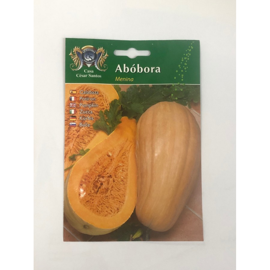 S.ABOBORA ALEIXO MENINA-CARTEIRA S.ABOBORA ALEIXO MENINA-CARTEIRA