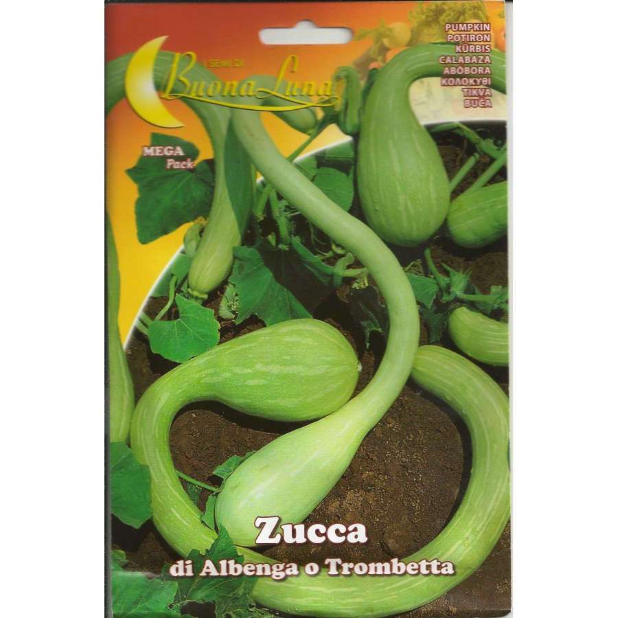 S.ABOBORA ALEIXO TROMBA D.ALBENGA-CARTEIRA S.ABOBORA ALEIXO TROMBA D.ALBENGA-CARTEIRA