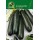 S.COURGETTE ALEIXO BLACK BEAUTY-CART.