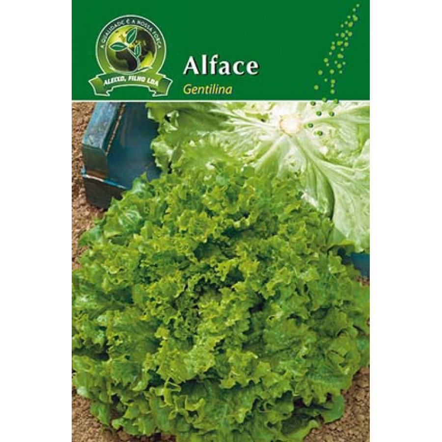 S.ALFACE ALEIXO GENTILINA-CARTEIRA S.ALFACE ALEIXO GENTILINA-CARTEIRA