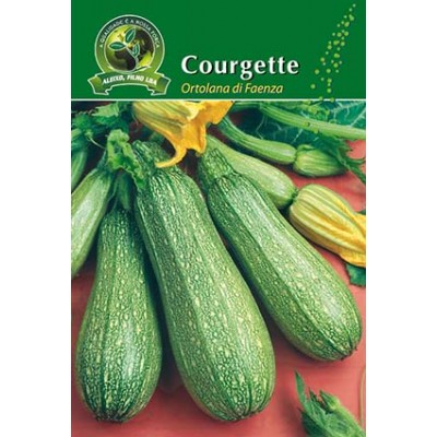 S.COURGETTE ALEIXO ORTOLANA DI FAENZA-CART.