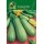 S.COURGETTE ALEIXO ORTOLANA DI FAENZA-CART.