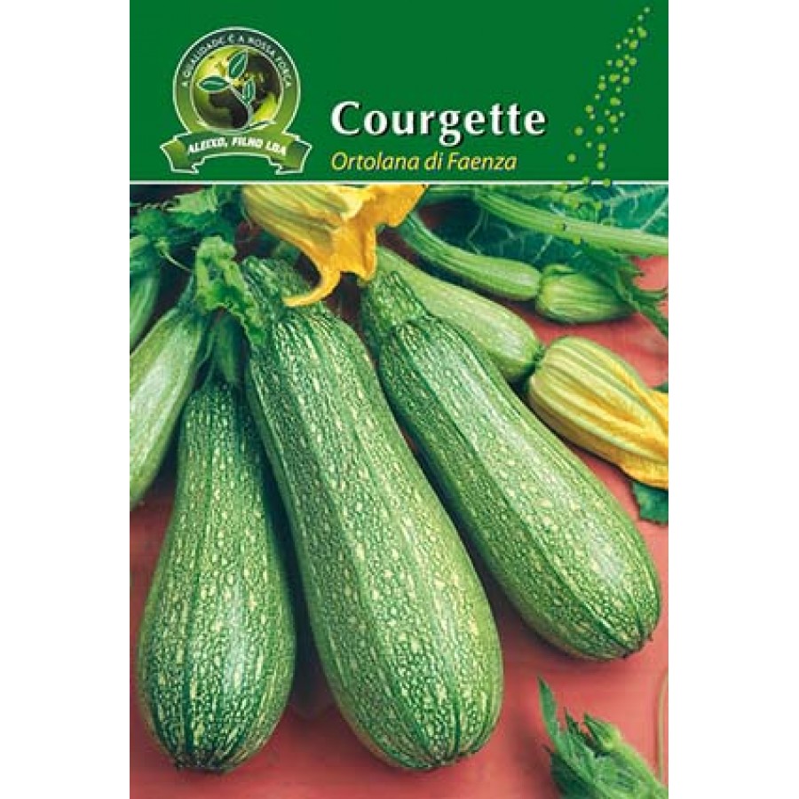 S.COURGETTE ALEIXO ORTOLANA DI FAENZA-CART. S.COURGETTE ALEIXO ORTOLANA DI FAENZA-CART.