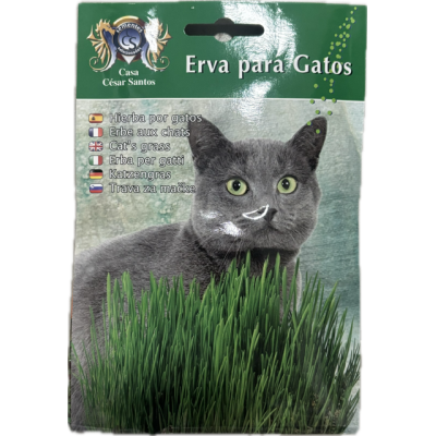 S.ERVA PARA GATOS-CARTEIRA