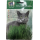 S.ERVA PARA GATOS-CARTEIRA