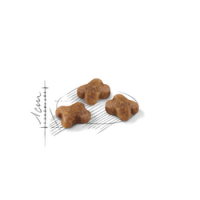 ROYAL CANIN KITTEN - 2 KG