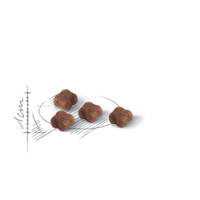 ROYAL CANIN MOTHER&BABYCAT - 2 KG ROYAL CANIN MOTHER&BABYCAT - 2 KG