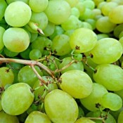 Uvas de Mesa Brancas