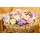 SEMENTES DE FLORES MILLIFLORA PETUNIAS GRANDIFLORA LIMBO *GP* PASTEL MIXTURE (MISTURA  PASTEL) - 1000 SEMENTES