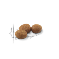 ROYAL CANIN GATO STERILISED 37 - 4 KG ROYAL CANIN GATO STERILISED 37 - 4 KG