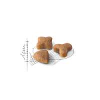 ROYAL CANIN GATO SENSIBLE 33 - 2 KG ROYAL CANIN GATO SENSIBLE 33 - 2 KG