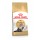 ROYAL CANIN GATO PERSIAN - 2 KG