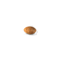 ROYAL CANIN GATO PERSIAN - 4 KG ROYAL CANIN GATO PERSIAN - 4 KG