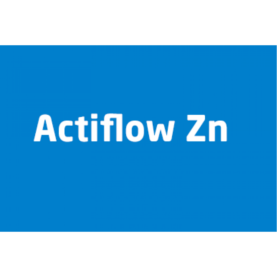 VITAFIXOL ACTIFLOW ZN - 1 LT