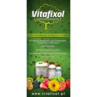 VITAFIXOL ACTIFLOW ZN - 1 LT
