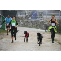 TRELA KIT CANICROSS COM CINTO - M