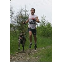 TRELA KIT CANICROSS COM CINTO - L