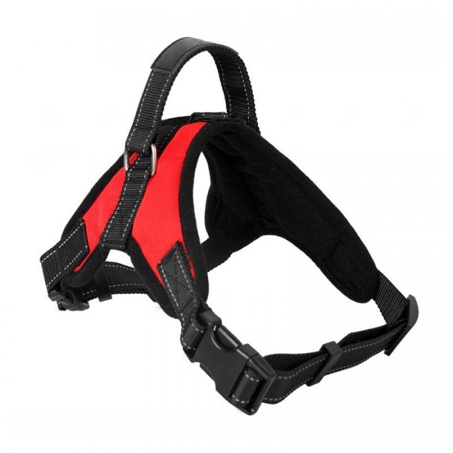 PEITORAL FORT P/CÃES - XL PEITORAL FORT P/CÃES - XL