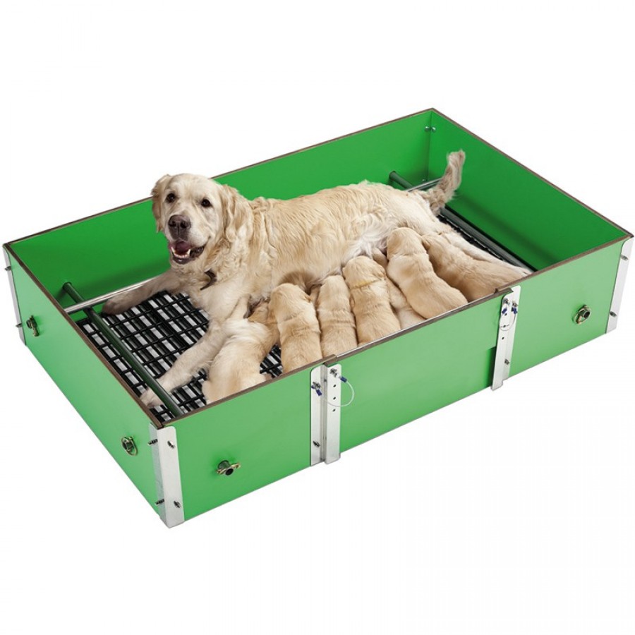 PARIDEIRA PARA CÃES MEDIA