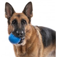 BOLA PELOTA RUGA BOLA PELOTA RUGA