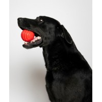 BOLA PELOTA RIGA