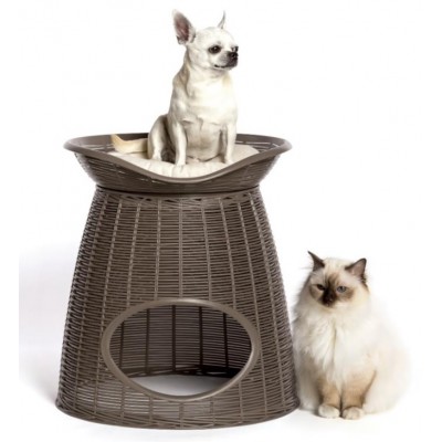 CASINHA PARA GATOS PASHA CASTANHA