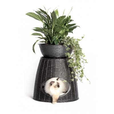 CASINHA PARA GATOS PASHA ANTRACITE