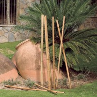 TUTOR DE BAMBOO DECORATIVO COR NATURAL Ø8,5cm x2,4m