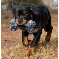 KONG BRINQUEDO PARA CÃES MAXX BONE (M/L)