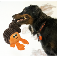 KONG BRINQUEDO PARA CÃES CUTESEAS RUFFLEZ CRAB (S/M) KONG BRINQUEDO PARA CÃES CUTESEAS RUFFLEZ CRAB (S/M)