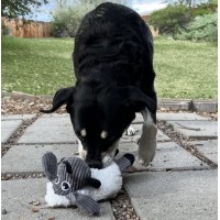 KONG BRINQUEDO PARA CÃES SHERPS FLOOPS SHEEP (M)