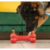 KONG BISCOITOS ZIGGIES ENHANCED (M/L) -227G KONG BISCOITOS ZIGGIES ENHANCED (M/L) -227G