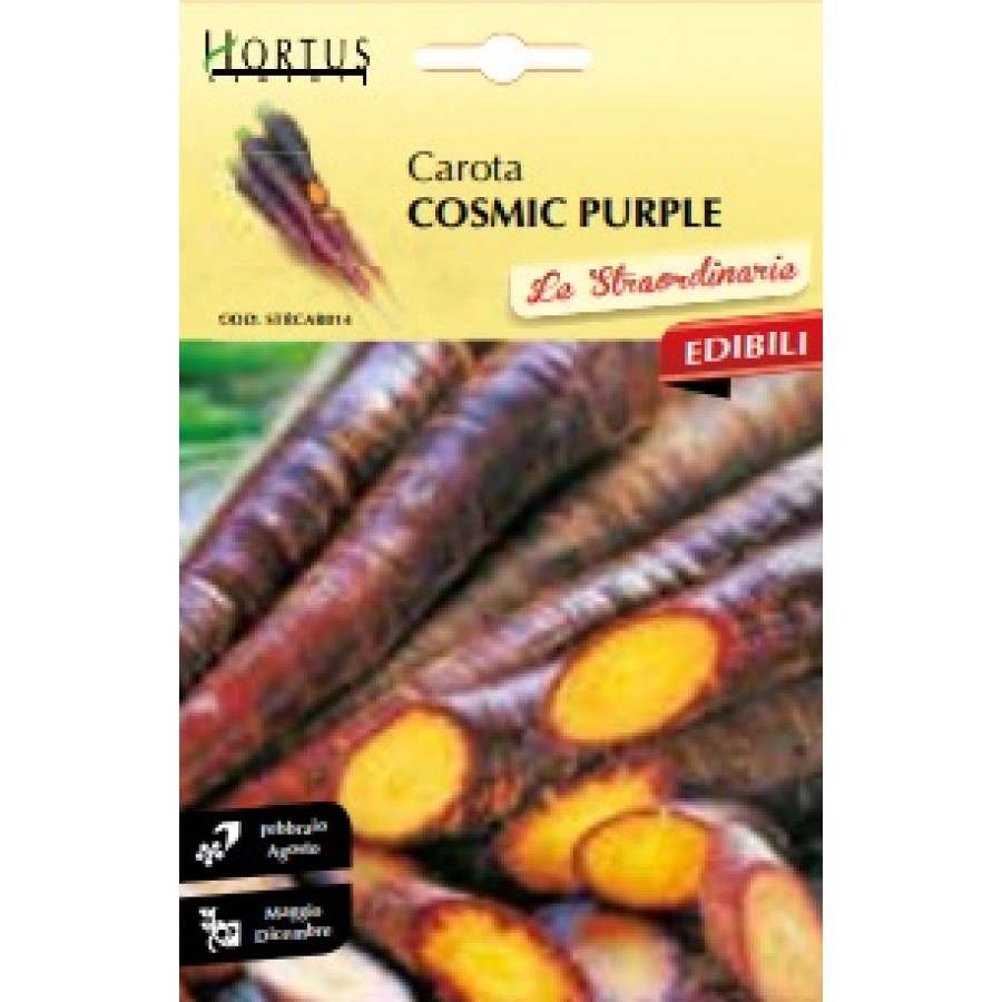 S.CENOURA COSMIC PURPLE HORTUS S.CENOURA COSMIC PURPLE HORTUS