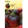 S.TOMATE NERO HORTUS