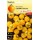 S.TOMATE CHERRY GIALLO HORTUS
