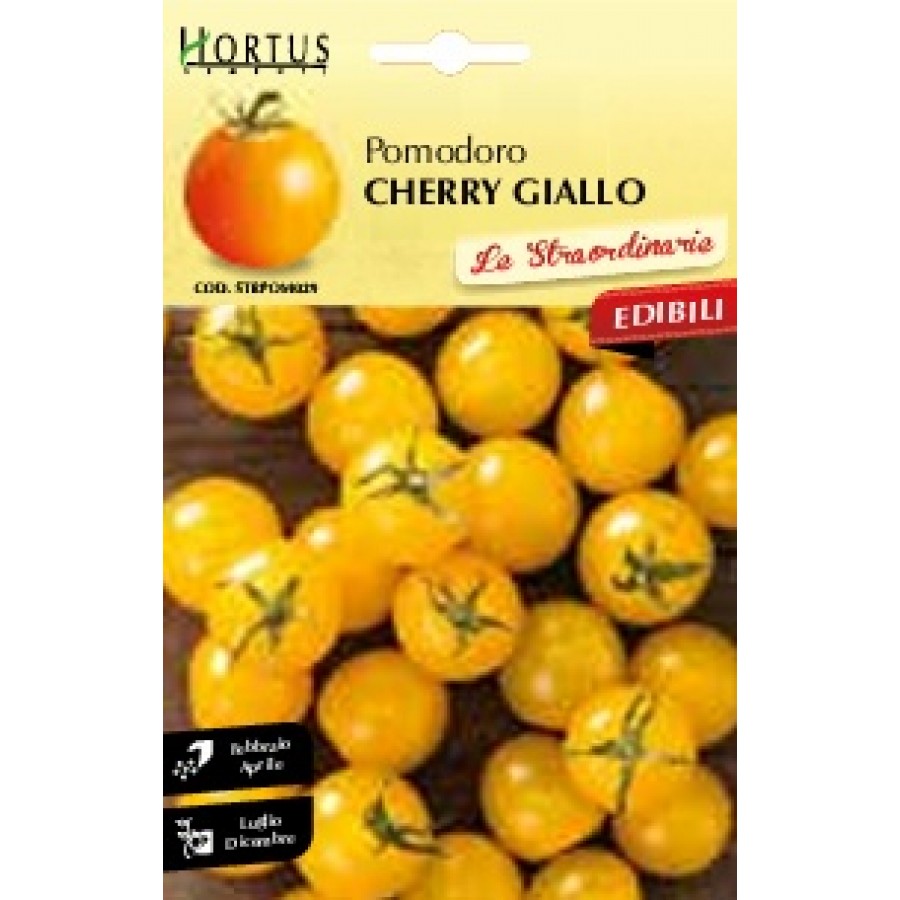 S.TOMATE CHERRY GIALLO HORTUS S.TOMATE CHERRY GIALLO HORTUS