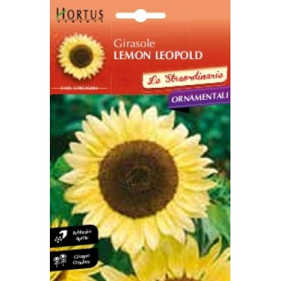 S.GIRASSOL LEMON LEOPOLD HORTUS