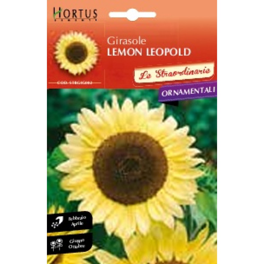 S.GIRASSOL LEMON LEOPOLD HORTUS S.GIRASSOL LEMON LEOPOLD HORTUS